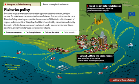 EyeOverFishing.org - Compare fisheries-6.jpg